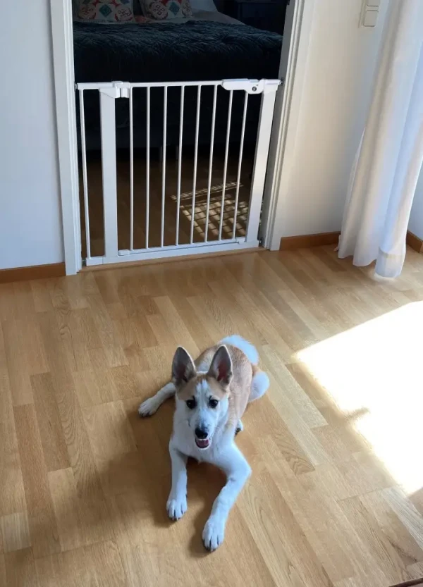 DogSpace Lassie tlaková bránka pre psíkov, 73-80 cm biela