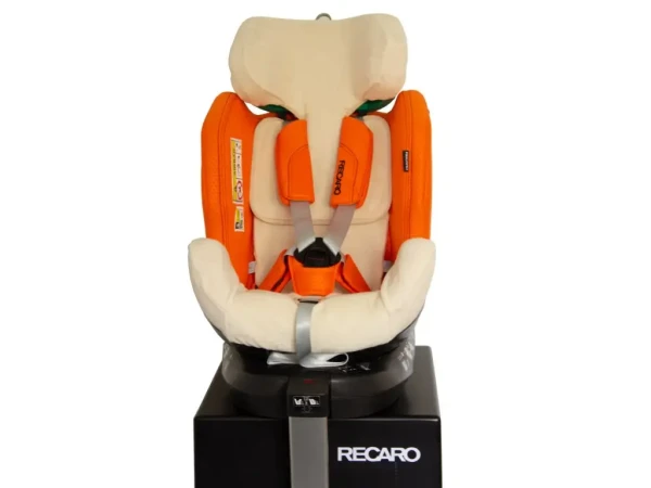 Rialto Baby Celoročný froté poťah autosedačky Recaro Xenon Bio
